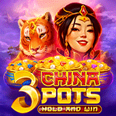3 China Pots